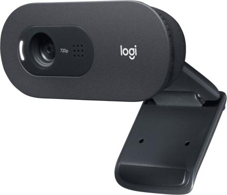 Веб-камера Logitech C505e HD Webcam 60°, складная конструкция, USB2.0, кабель 2м